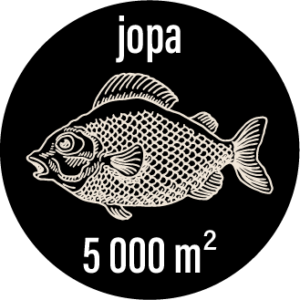 Troolissa on jopa 5 000 m² toimistotila.